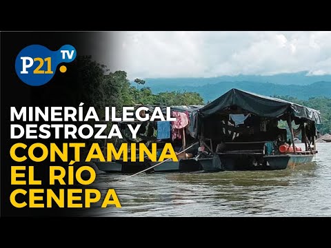 MINERÍA ILEGAL en SELVA DEL PERÚ destroza y contamina el RÍO CENEPA - Informe21