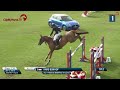 Show jumping horse VERKOCHT ONDER VOORBEHOUD!