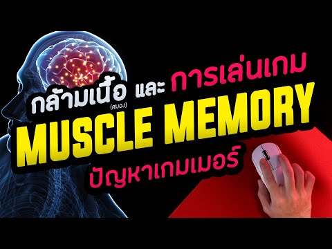 💪-Muscle-Memory-เข้าใจสมอง-เพื 💪-Muscle-Memory-เข้าใจสมอง-เพื