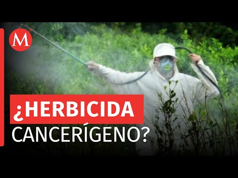 El Gobierno de México ha decidido posponer la prohibición del herbicida 'Glifosato'