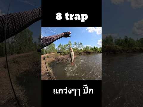 8trapfishinglurefishingspo