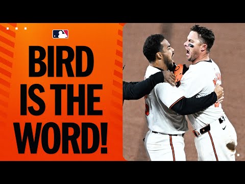 The Orioles WALK IT OFF at Camden Yards!