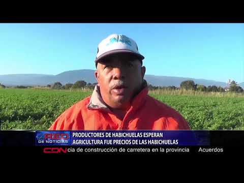 Productores de habichuelas esperan agricultura fije precios