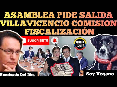 ASAMBLEÍSTAS PIDEN SALIDA DE VILLAVICENCIO DE COMUNICACIÓN DE FISCALIZACIÓN NOTICIAS ECUADOR RFE TV