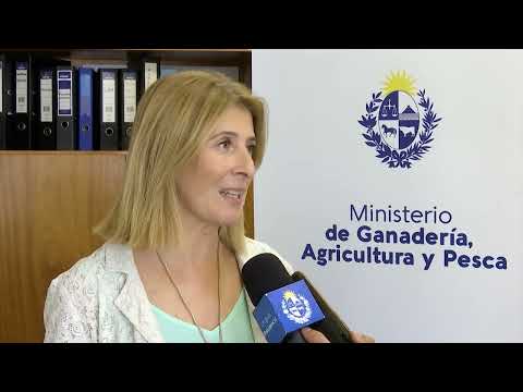 Entrevista a la directora general del MGAP, Fernanda Maldonado
