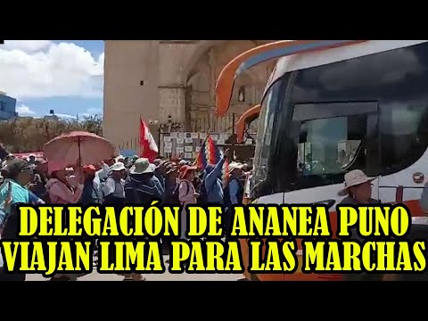 DELEGACIÓN DE DISTRITO DE ANANEA AVN RUMBO HACIA LIMA PARA REFORZAR MANIFESTACIONES EN LIMA..