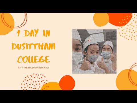 1Day@DUSITTHANICOLLEGE|1