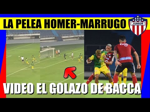 JUNIOR de BARRANQUILLA P3LEA HOMER y MARRUGO VIDEO Carlos BACCA GOLAZO