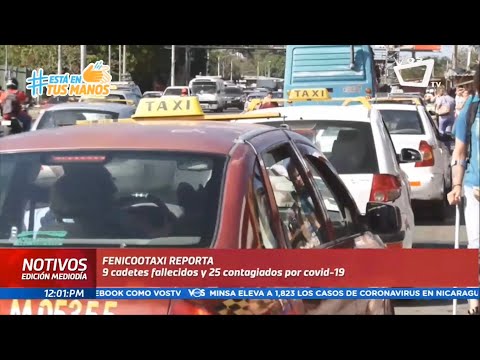 Nueve taxistas han muerto por coronavirus, afirma Fenicootaxi