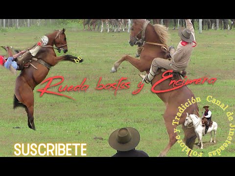 jineteada en bastos  #caballos #jinete #charreada #jaripeo #rodeo#Cowboy #horse videos #ongole bulls