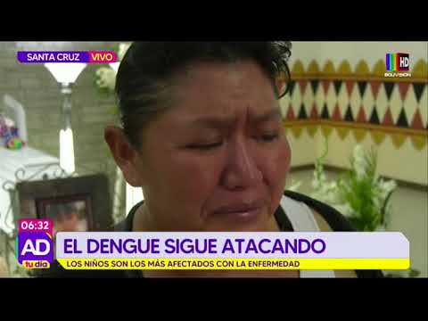 Otro niño fallece por dengue en Santa Cruz
