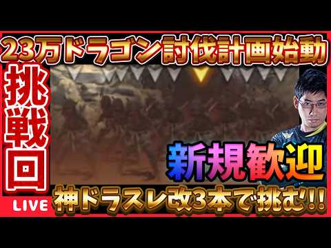 23万ドラゴンとの戦いが遂に始まります‼厳選ドラスレ改3本持って突撃だ‼ #ウィズダフネ【WIZダフネ】【Wizardry Variants Daphne】