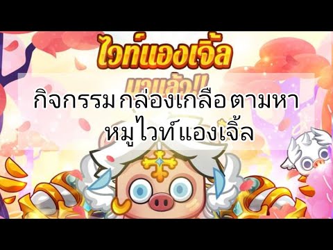 happy-hog-|-กิจกรรม-กล่องเกลือ happy-hog-|-กิจกรรม-กล่องเกลือ