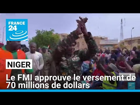 Le FMI approuve le versement de 70 millions de dollars au Niger • FRANCE 24