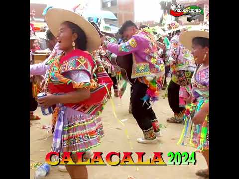 VIII Festival de CALACALA 2024 -Alianza de Pasión- Qhonqota. #shorts  #musica #tradicional