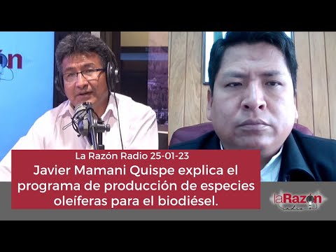 Javier Mamani Quispe explica el programa de producción de especies oleíferas para el biodiésel.