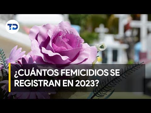 Feminicidios en Costa Rica: 14 menores de edad perdieron a sus madres durante 2023