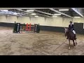 Cheval de CSO Talentvol springpaard