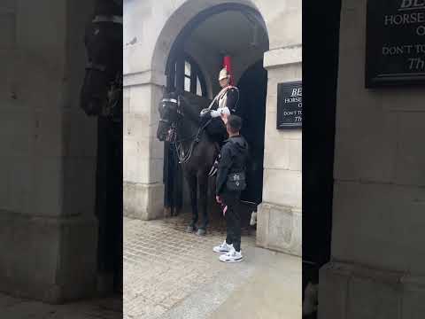 TikToker HUMBLED: A social media 'prankster' was arrested after 'interviewing' King's Guard horses