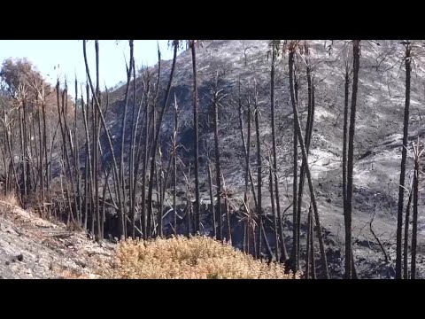 Encampment concerns after Fairmount Fire