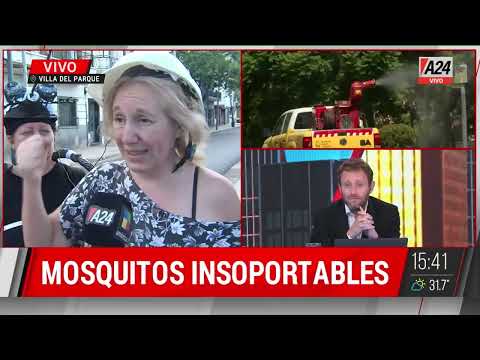 ALERTA por INVASIÓN de MOSQUITOS: 37 internados por dengue en Villa del parque