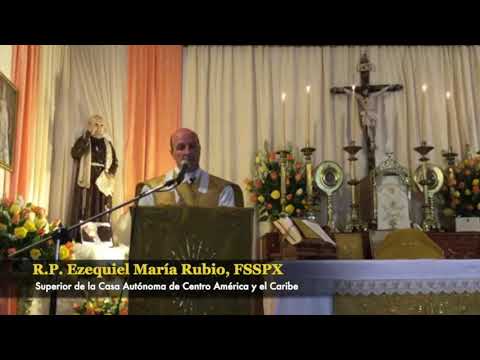 Todos los Santos | Bodas de Oro de la FSSPX | Visita del Mitón del Padre Pío