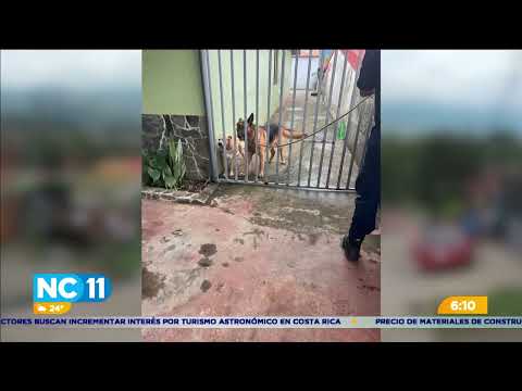 SENASA sacrificó a 3 perros por ataque a niño en Liberia