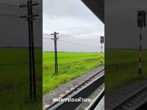 รถไฟเขียวขจีรถไฟ