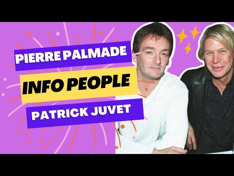 Pierre Palmade : La triste re?ve?lation sur sa relation avec Patrick Juvet