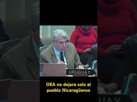 El embajador uruguayo en sus palabras resumió el espíritu de la resolución de OEA