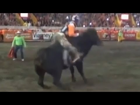 ¡No habrá corridas de toros en Zapote!