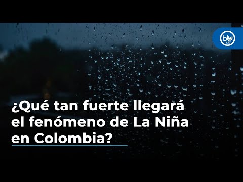 ¿Qué tan fuerte llegará el fenómeno de La Niña en Colombia? Ideam responde