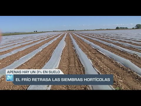 El Campo | El frío retrasa las siembras hortícolas | 08/05/24