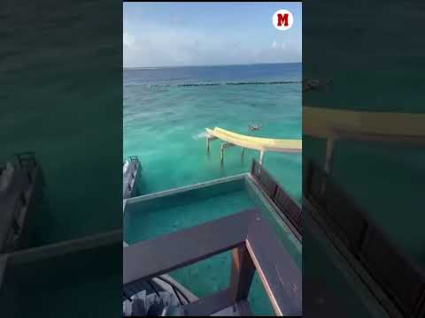 Arribas salva a una pareja de ahogarse en Maldivas I MARCA