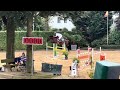 Show jumping horse Paarden te koop/ Horses for sale