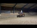 Show jumping horse Grote, lieve springruin