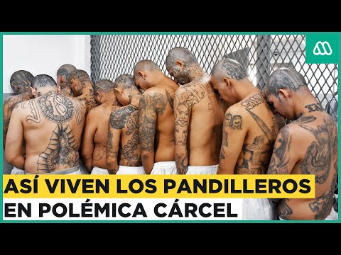 La polémica cárcel de El Salvador: Así viven los pandilleros de Las Maras en prisión