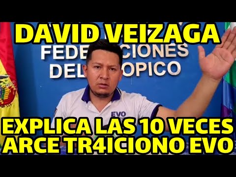 DAVID VEIZAGA DENUNCIOA GOBIERNO ESTARIA PLANIFICANDO PRIVATIZAR EMPRESAS ESTATALES..