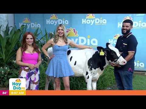 Joven se va viral por llevar a su vaca Ola a graduación del RUM