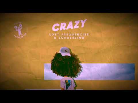 Lost Frequencies & Zonderling - Crazy (Acoustic Cover)