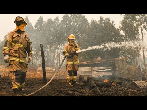 Los incendios forestales en Chile ya consumieron más de 350 mil hectáreas