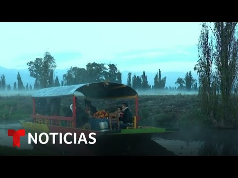 Maravillosas imágenes al amanecer de la ruta del cempasúchil en Xochimilco | Noticias Telemundo