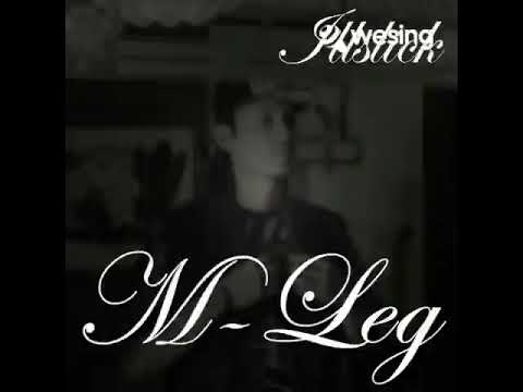 M-LEGcoverbymaxky