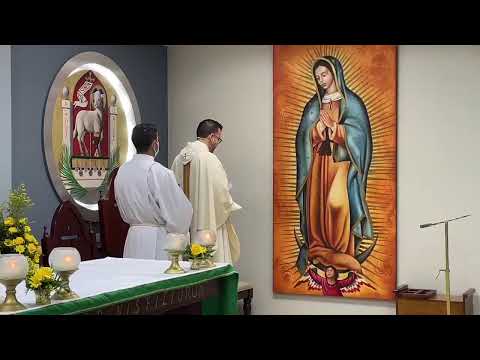Misa Martes de la III Semana del Tiempo Ordinario - 25/enero/2022- Conversión de San Pablo