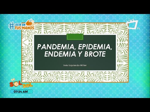 HABLEMOS DEL IDIOMA: Conocé la diferencia entre pandemia, epidemia y endemia