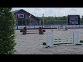 Show jumping horse 5yrs mare Quidam de Revel x F-One USA
