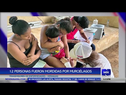 12 personas fueron mordidas por murciélagos transmisores de enfermedades en Veraguas