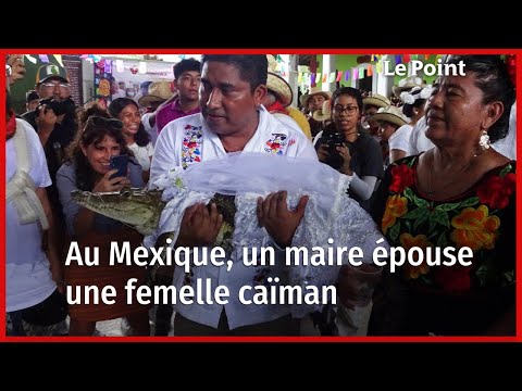 Au Mexique, le mariage surprenant entre un maire et une femelle caïman