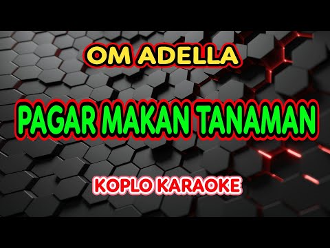 PAGAR MAKAN TANAMAN KARAOKE - Nurma Paejah Adella - OM ADELLA @koplokaraooke