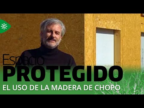 Espacio Protegido | El uso del chopo para la construcción podría salvar su cultivo en Granada